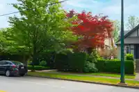 1978 W 12TH AVENUE - thumbnail 3