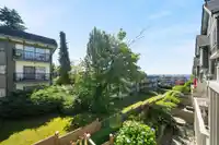 223 368 ELLESMERE AVENUE - thumbnail 15