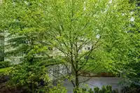 308 15188 29A AVENUE - thumbnail 30