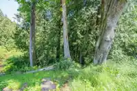 24937 ROBERTSON CRESCENT - thumbnail 39