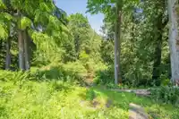 24937 ROBERTSON CRESCENT - thumbnail 40