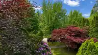 3713 W 31ST AVENUE - thumbnail 22