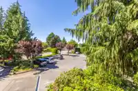 105 5360 205 STREET - thumbnail 32