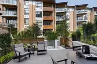 105 310 SALTER STREET - thumbnail 12