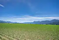 97 46213 HAKWELES ROAD - thumbnail 33