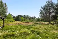 13432 224 STREET - thumbnail 26
