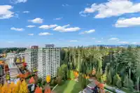 2303 3355 BINNING ROAD - thumbnail 25