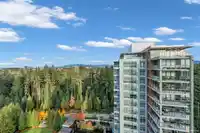 2303 3355 BINNING ROAD - thumbnail 26