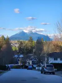 10680 239 STREET - thumbnail 34