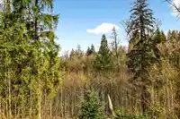 24409 KIMOLA DRIVE - thumbnail 24