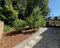 31821 SILVERDALE AVENUE - thumbnail 31