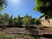 31821 SILVERDALE AVENUE - thumbnail 32