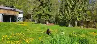 27810 110 AVENUE - thumbnail 10