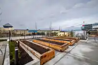 2003 8551 201 STREET - thumbnail 28