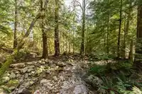 3398 WILLIAM AVENUE - thumbnail 31