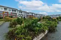 A315 8150 207 STREET - thumbnail 19