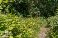 12882 STONE ROAD - thumbnail 18
