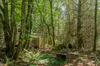 12882 STONE ROAD - thumbnail 19