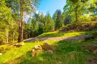 LOT B HIKER'S TRAIL - thumbnail 14