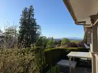 21735 47B AVENUE - thumbnail 37