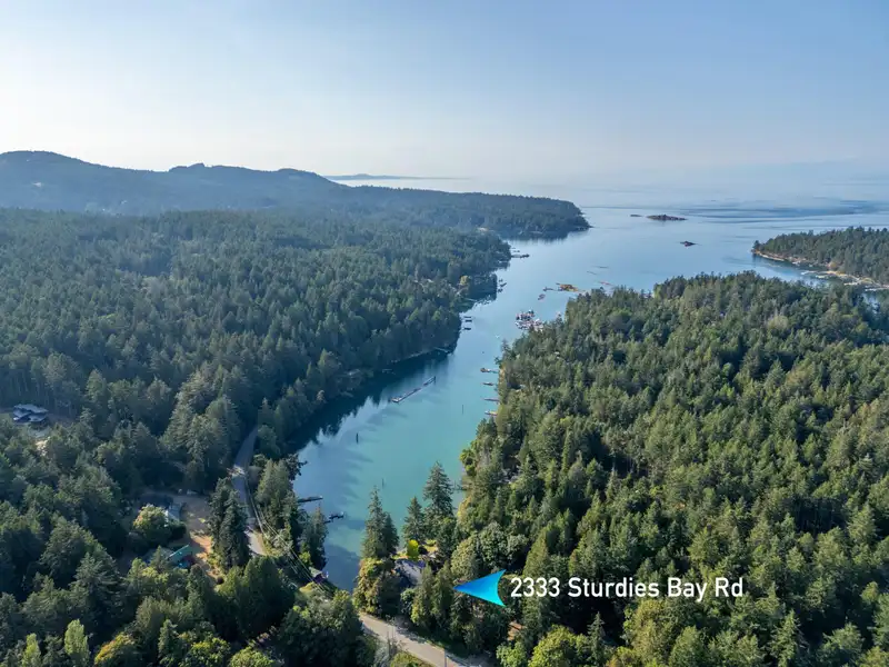 2333 STURDIES BAY ROAD - photo 2 of 40