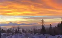 404 20826 72 AVENUE - thumbnail 40