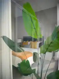 2505 555 SYDNEY AVENUE - thumbnail 14