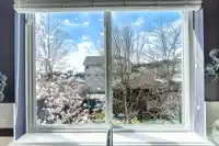1420 COAST MERIDIAN ROAD - thumbnail 11