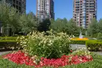 2005 6888 STATION HILL DRIVE - thumbnail 31
