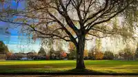 1529 W 61ST AVENUE - thumbnail 12