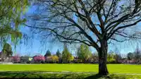 1529 W 61ST AVENUE - thumbnail 10