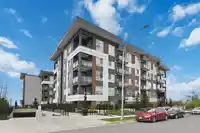 413 8117 200A STREET - thumbnail 27