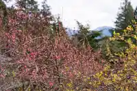 1347 EAGLE CLIFF ROAD - thumbnail 16