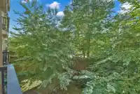 223 8915 202 STREET - thumbnail 24