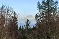 107 1340 OLMSTED STREET - thumbnail 26