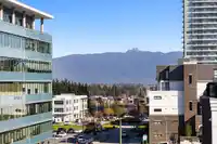 501 20052 83A AVENUE - thumbnail 13