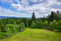 33449 RICHARDS AVENUE - thumbnail 38