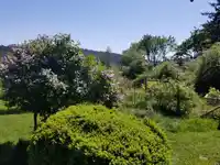 1 1086 GEORGESON BAY ROAD - thumbnail 10