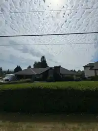 19820 69 AVENUE - thumbnail 2