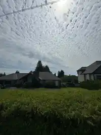 19820 69 AVENUE - thumbnail 3