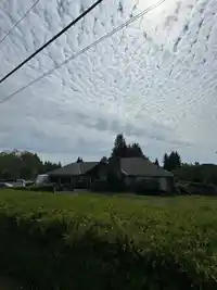 19820 69 AVENUE - thumbnail 4