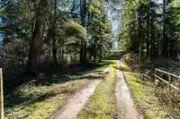 26604 13 AVENUE - thumbnail 14