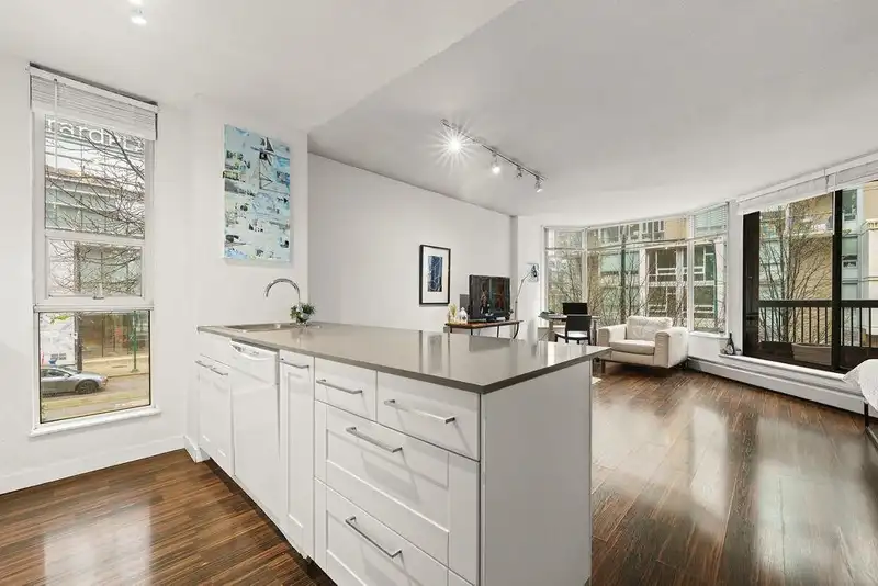 301 1333 HORNBY STREET - photo 1 of 27