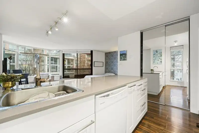 301 1333 HORNBY STREET - photo 4 of 27
