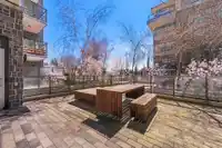 2765 MOUNTAIN HIGHWAY - thumbnail 26