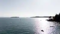 1759 ARBUTUS POINT ROAD - thumbnail 12