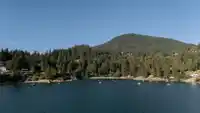 1759 ARBUTUS POINT ROAD - thumbnail 15