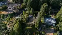 1759 ARBUTUS POINT ROAD - thumbnail 32