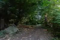 1759 ARBUTUS POINT ROAD - thumbnail 37
