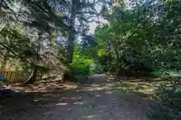 1759 ARBUTUS POINT ROAD - thumbnail 38